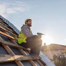 Best Roof Moss and Algae Removal  in Steiner Ranch, TX